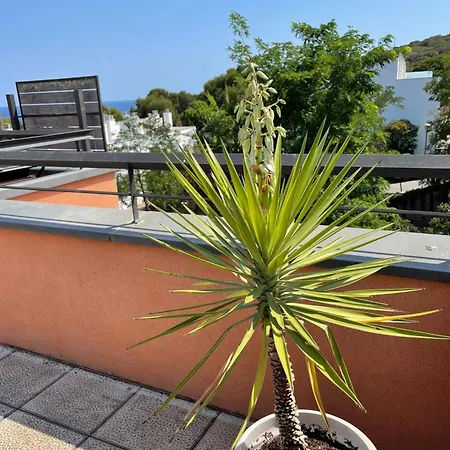Sunny Sa Boadella Big Solarium Sea View Apartment Lloret de Mar